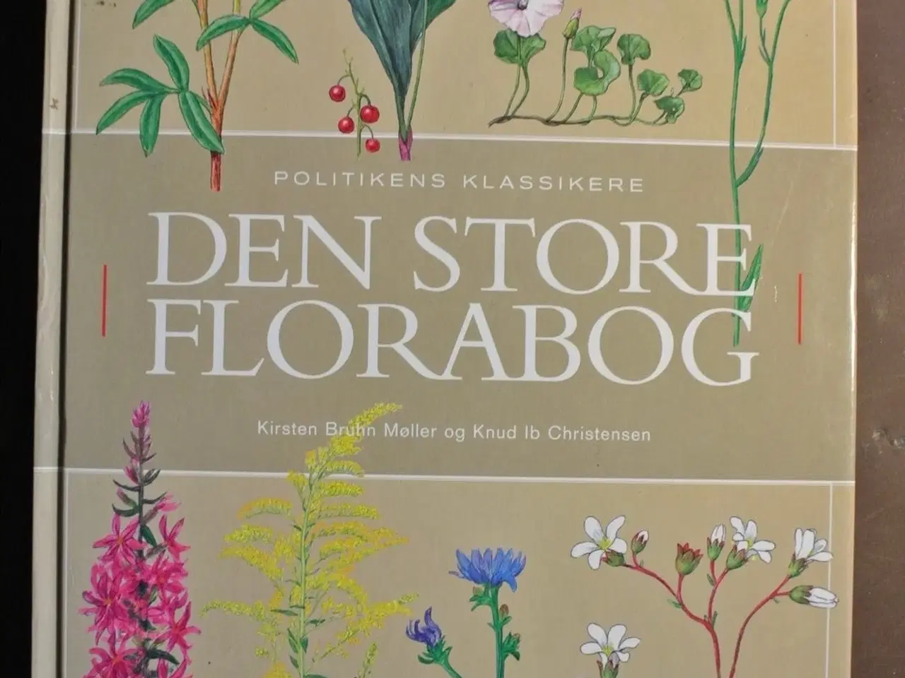 Billede 1 - den store florabog, af kirsten bruhn møller og knu