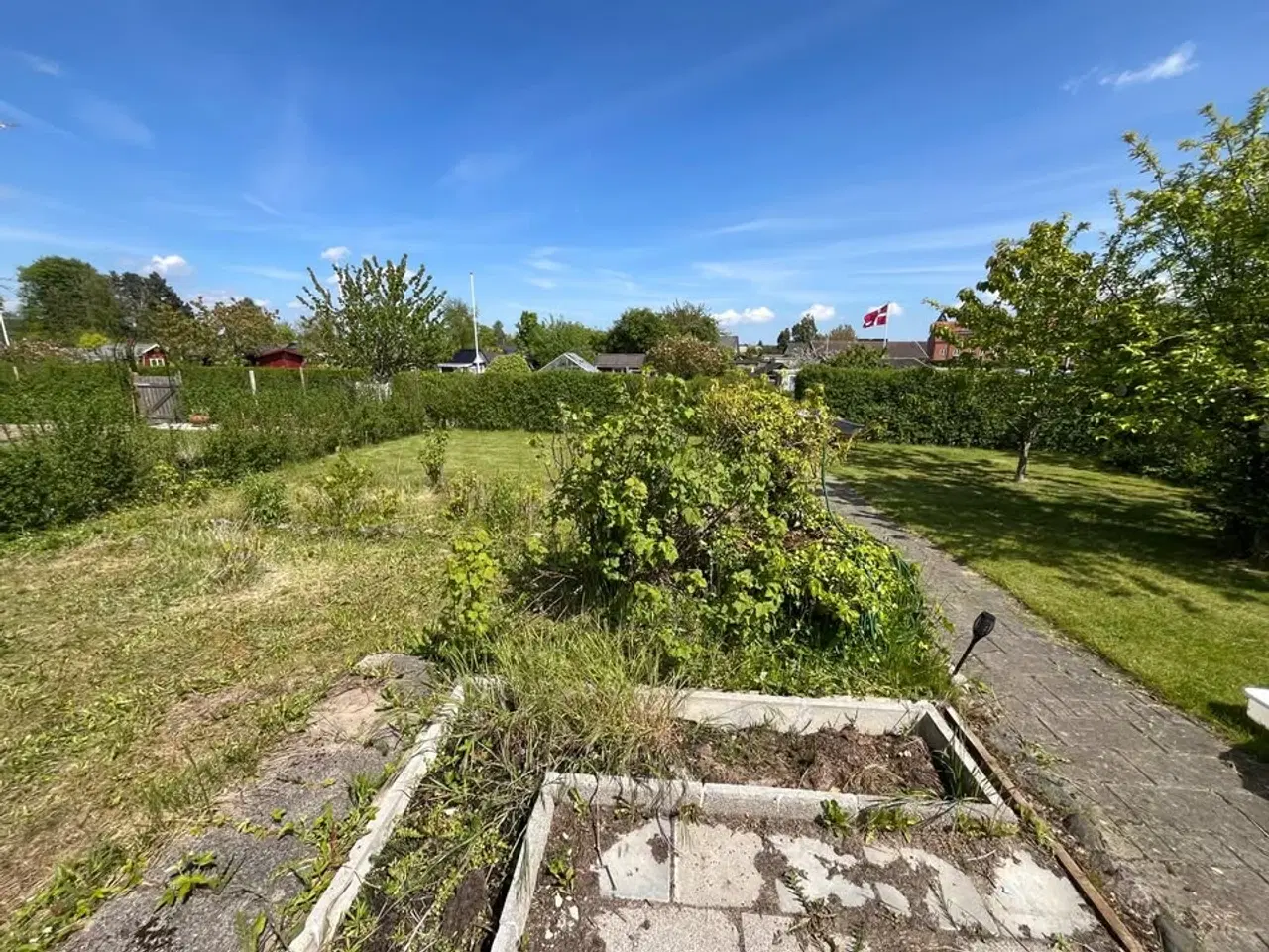 Billede 5 - Kolonihave Svendborg Margrethe Lunden