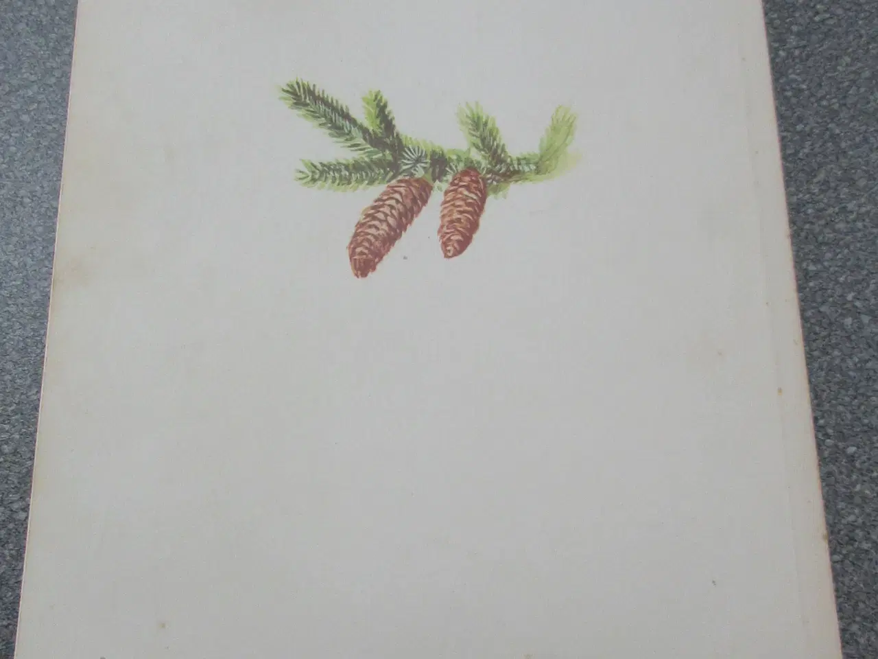 Billede 5 - VED JULELAMPES SKÆR 1961 OG 1969