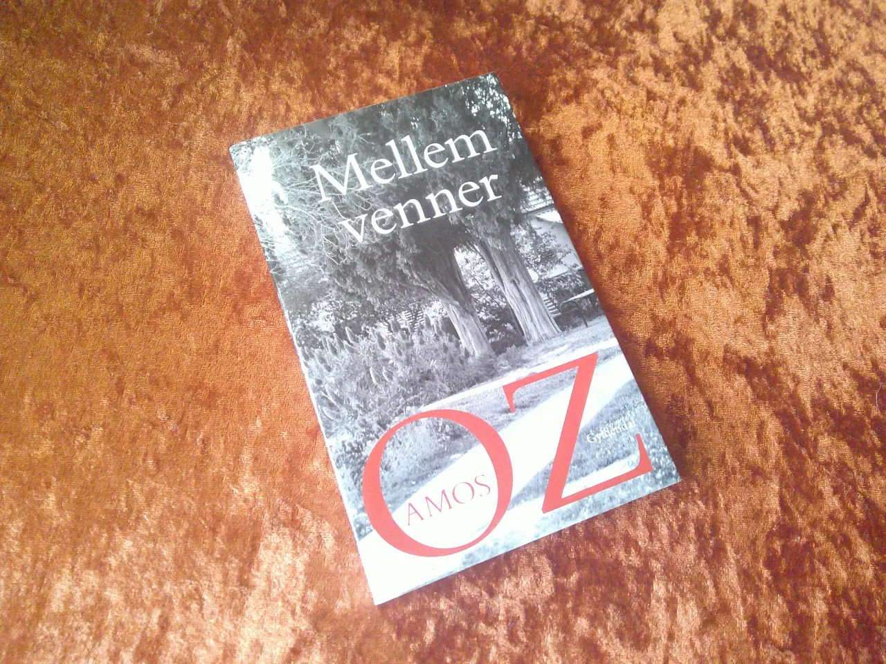 Billede 1 - Mellem venner, Amos Oz,