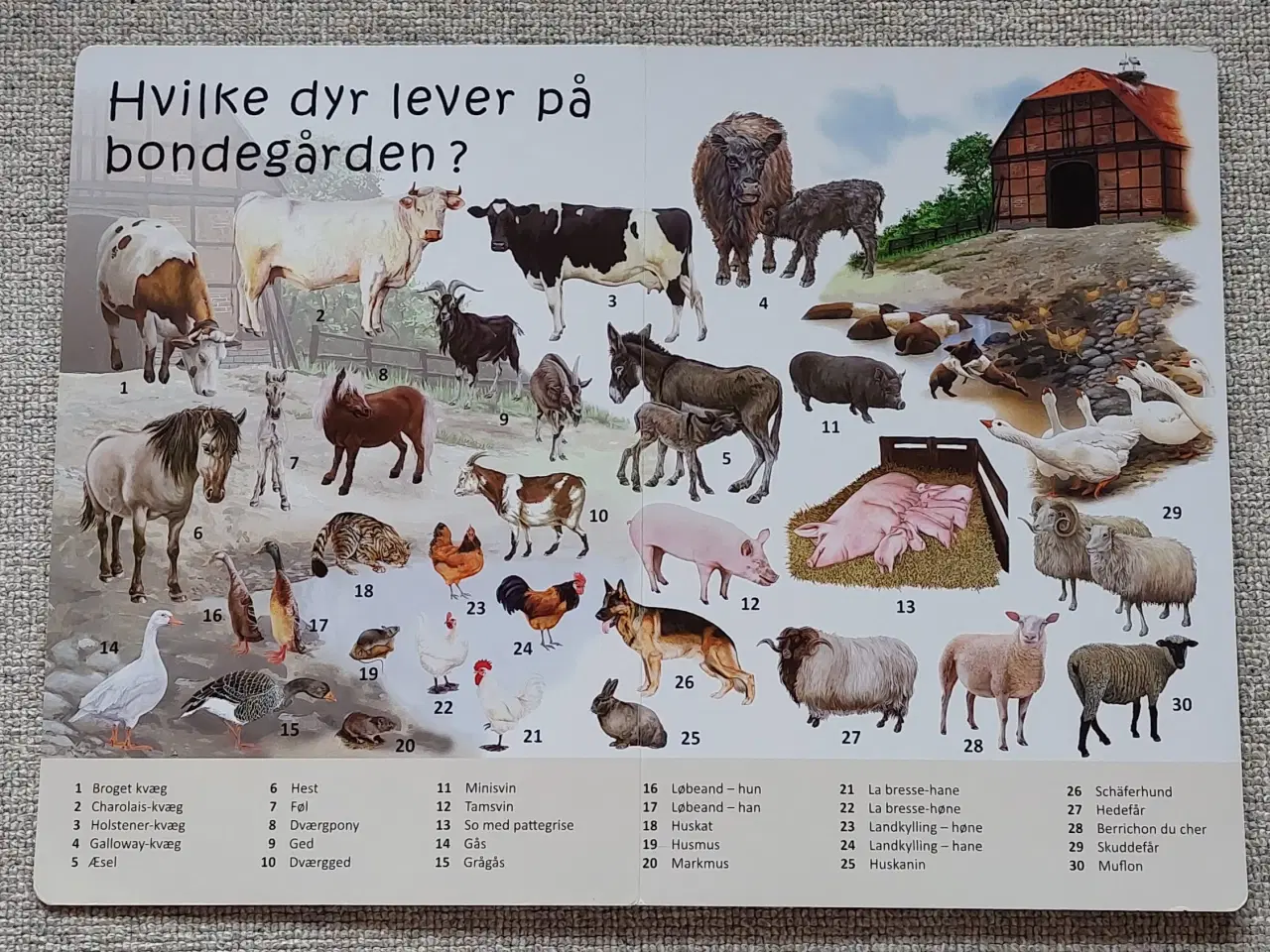 Billede 3 - Min store papbog: Livet på bondegården og Dyr i ..