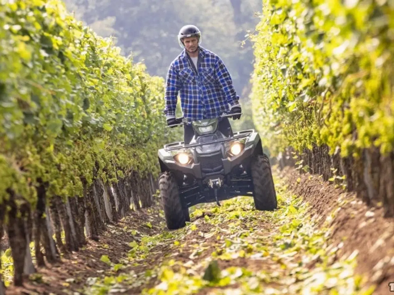 Billede 4 - Yamaha Kodiak 450 ESP - Traktor A