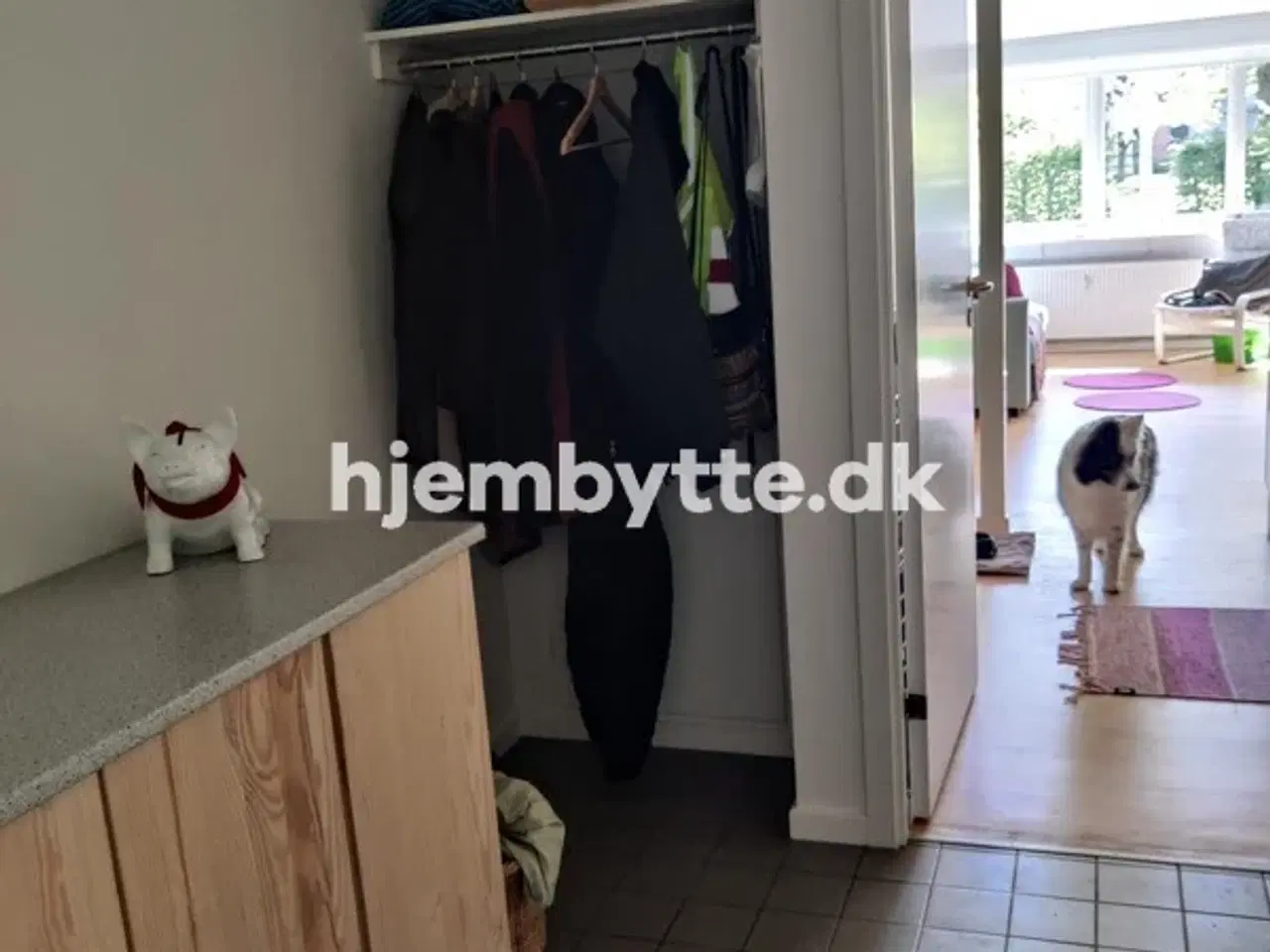 Billede 7 - Hjembytte - SvanholmVænge