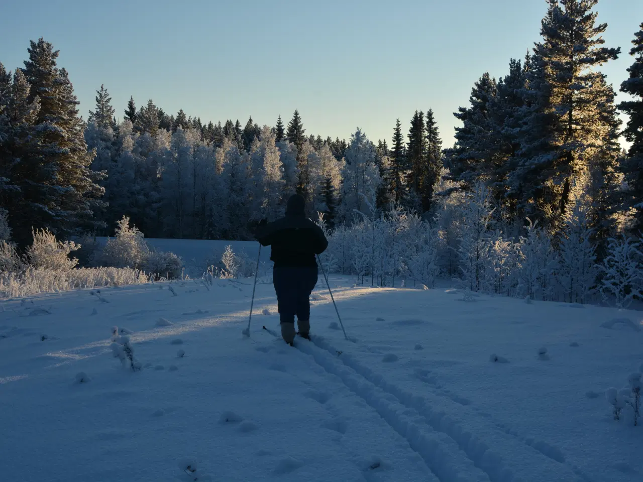 Billede 17 - Ødegård - Sverige Natur Jagt Fiske 