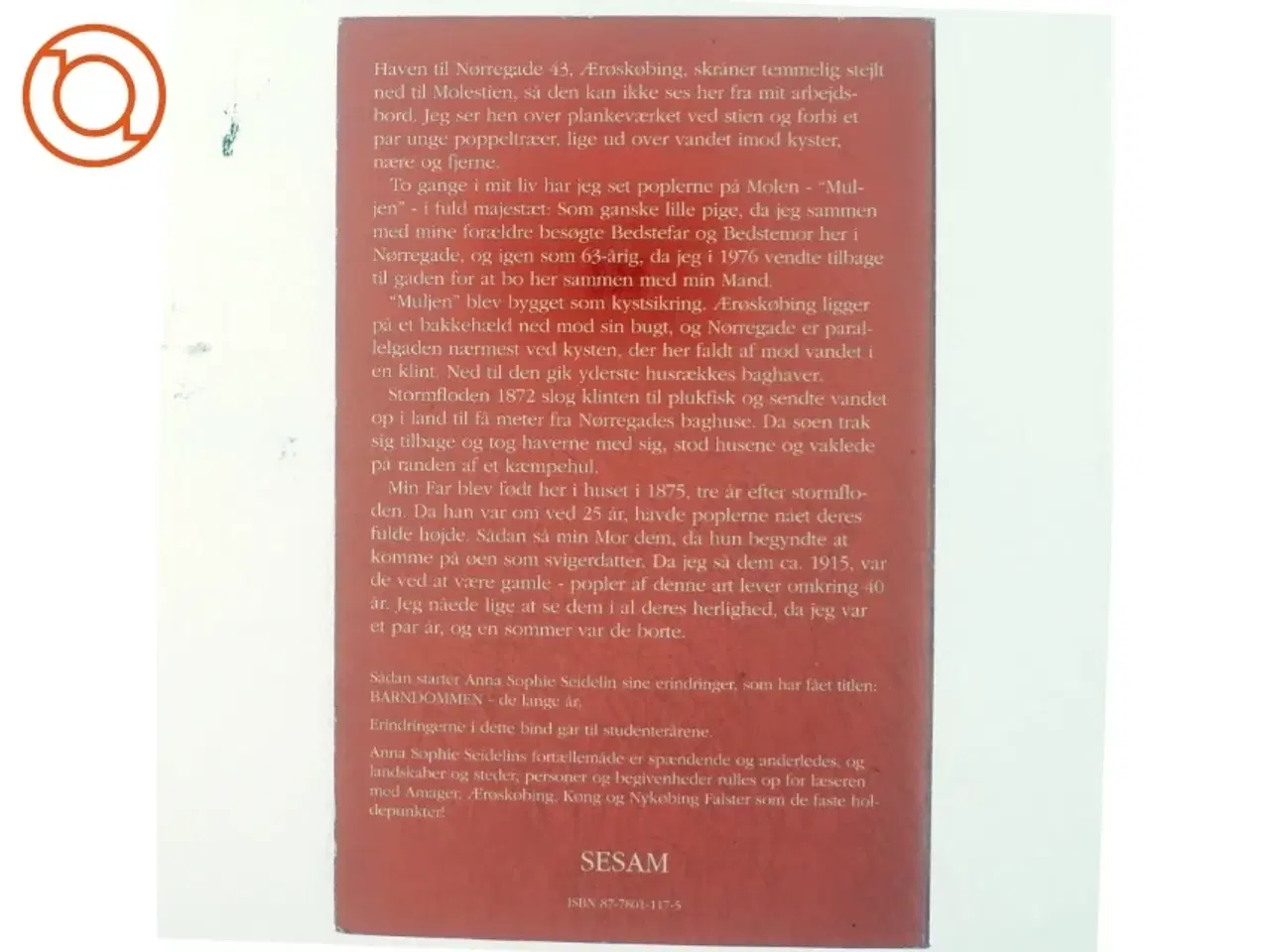 Billede 3 - Barndommen, de lange år af Anna Sophie Seidelin