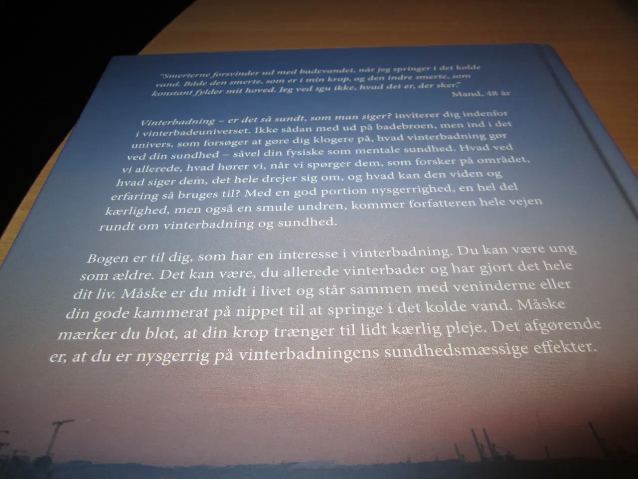 Billede 2 - VINTERBADNING. BYD. Jette Skrædderdal.