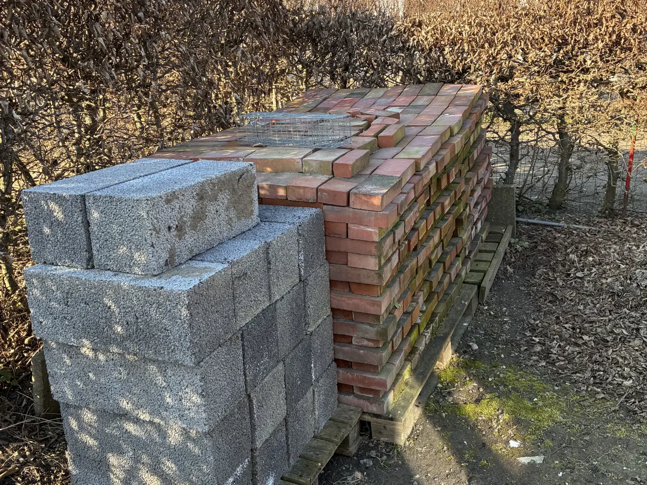 Billede 4 - Kolonihave i 5200 Odense V