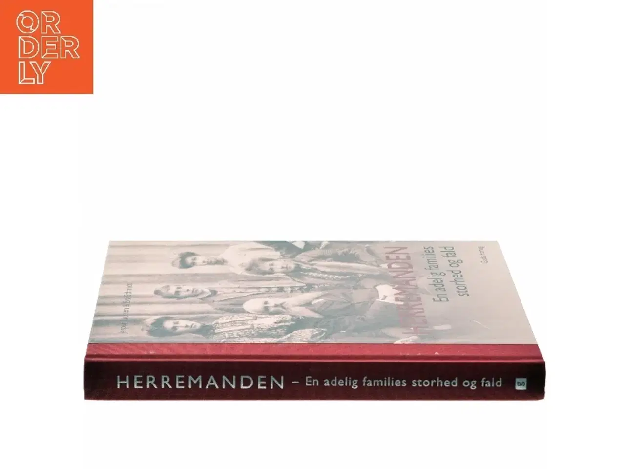 Billede 2 - Herremanden : en adelig families storhed og fald af Jesper Laursen (f. 1951) (Bog)