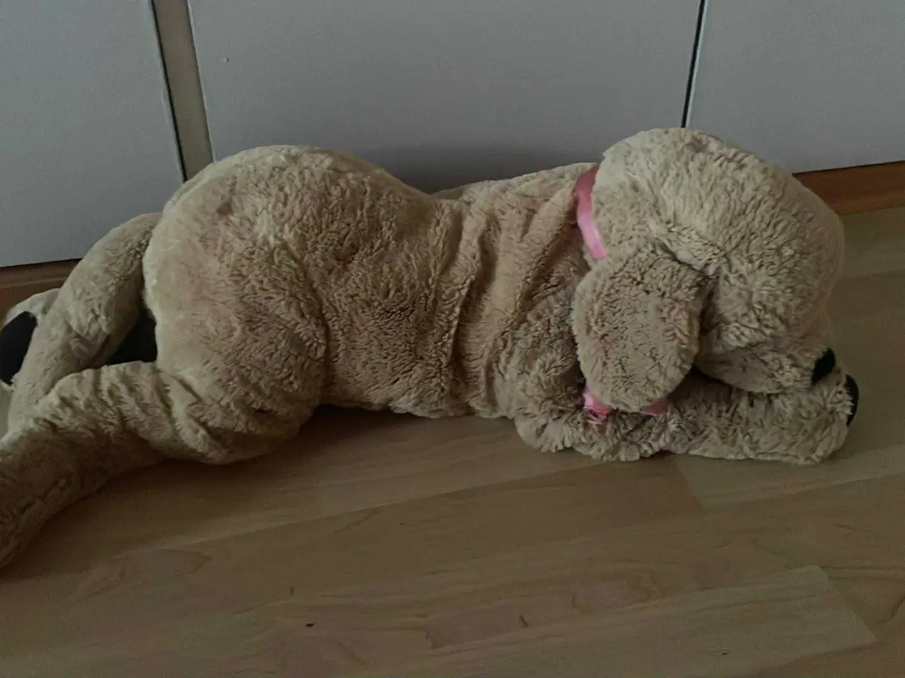 Billede 1 - Hunde bamse sælges 