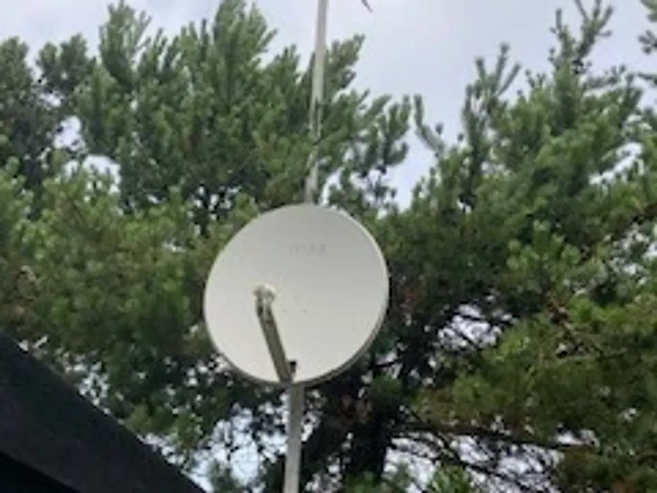 Billede 5 - Triax parabol +tv2 antenne + 6 m stålrør