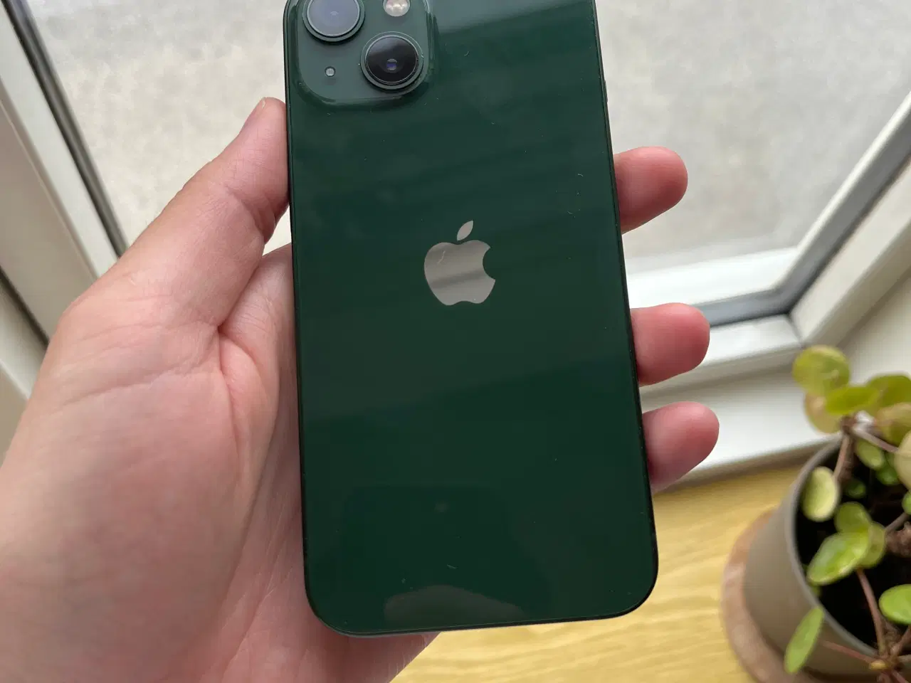 Billede 1 - iPhone 13 i grøn