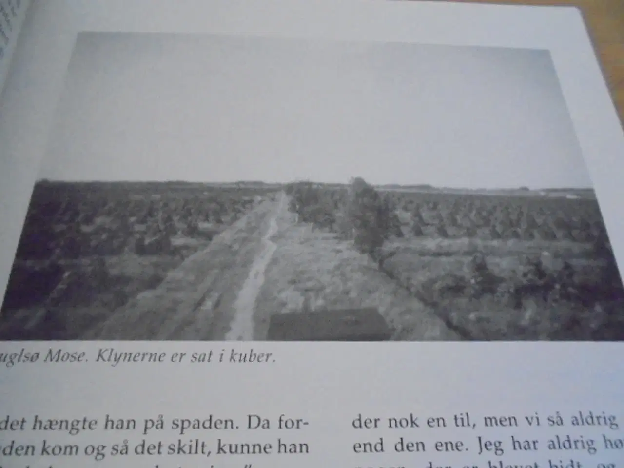 Billede 6 - Fuglsø mose og Horsemosen  ”Arbejdere i det røde h