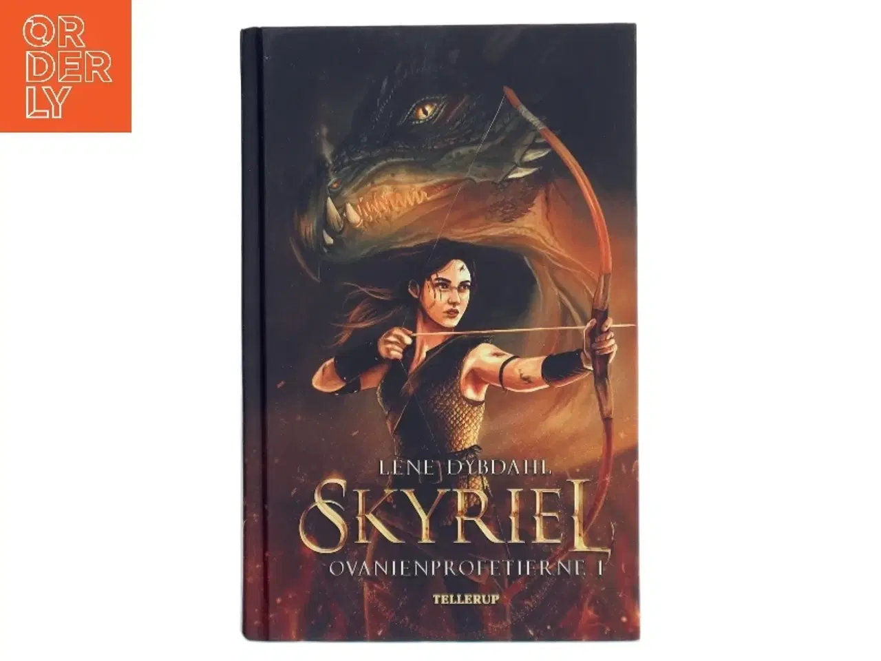 Billede 1 - Skyriel af Lene Dybdahl (Bog)