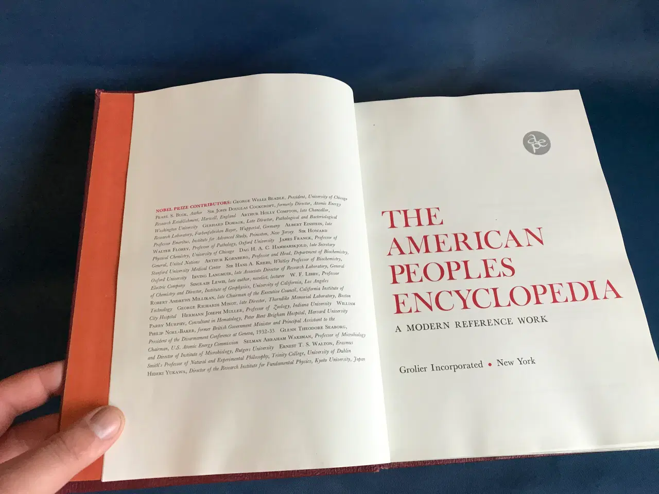 Billede 6 - The American Peoples Encyclopedia Indbundet 1-20