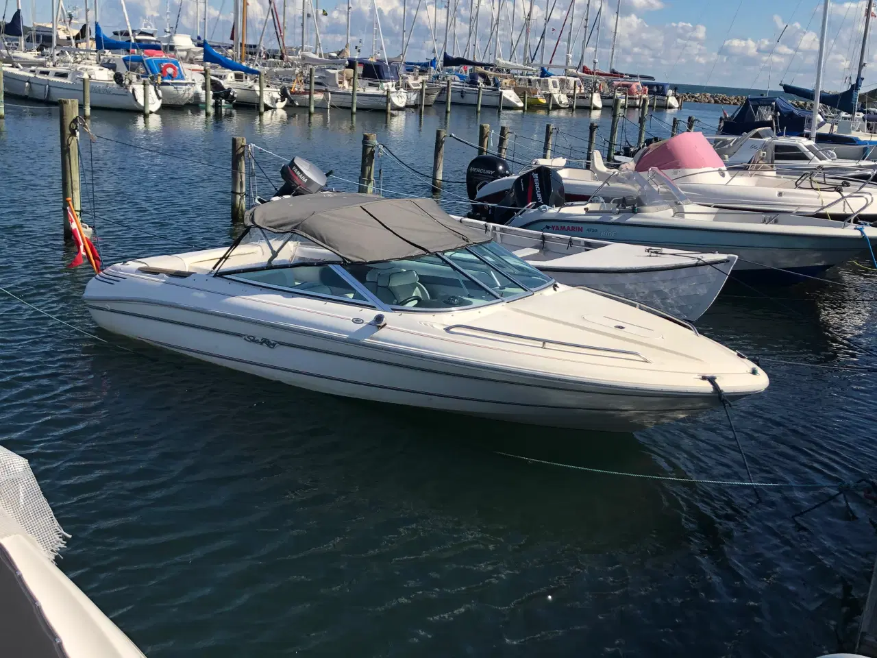 Billede 6 - Sea Ray 180 Closed Bow