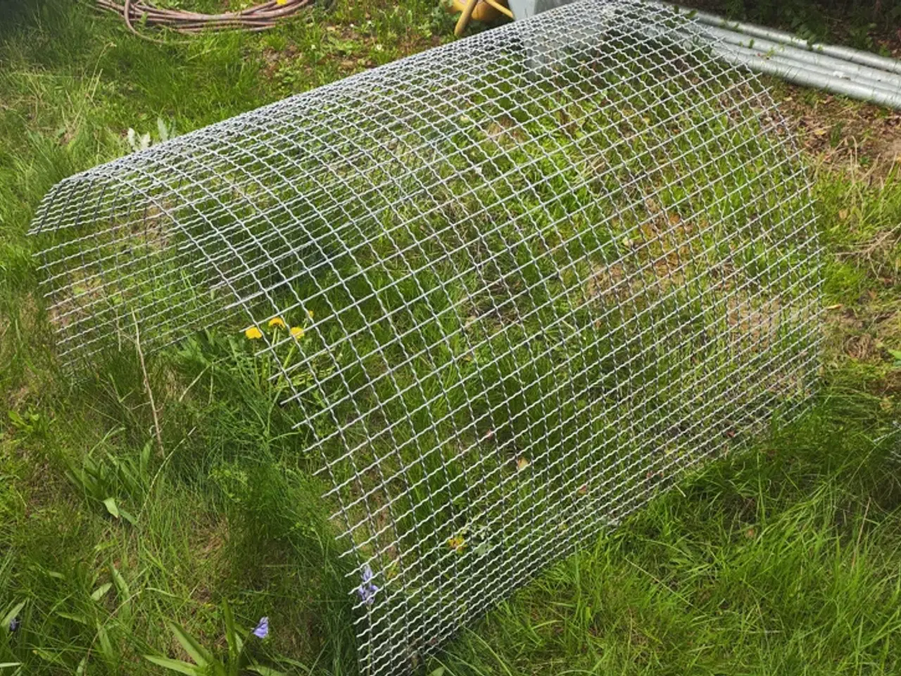 Billede 1 - Galvaniseret trådnet til have espalier