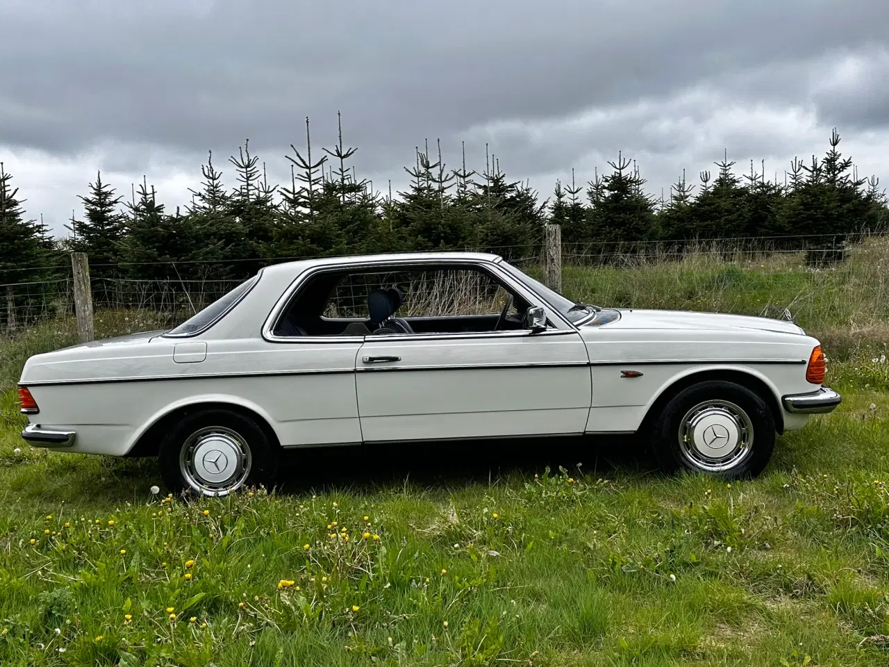 Billede 5 -  1980 Mercedes Daimler 230 CE 1980 KUN 180.000 KM 