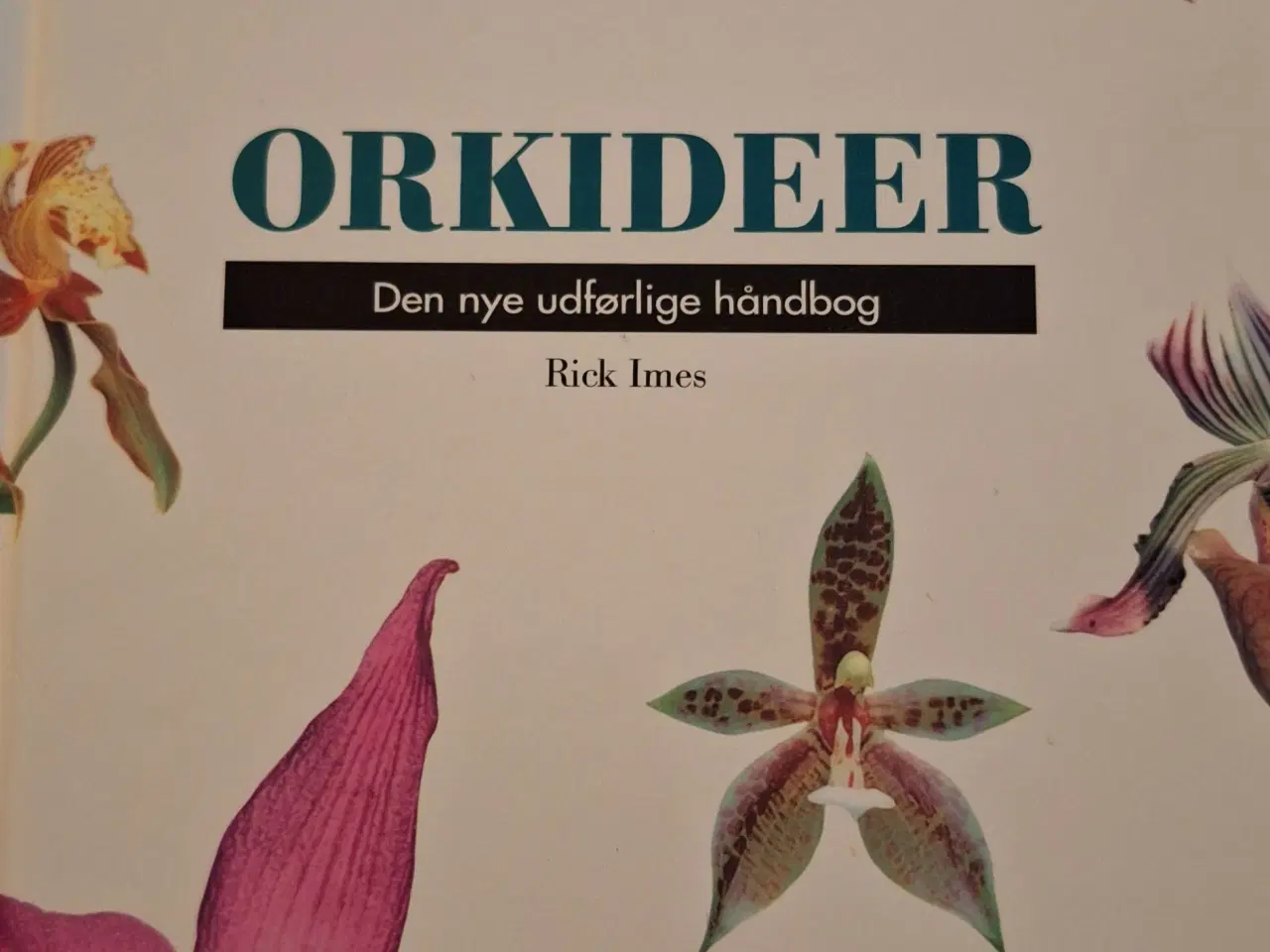 Billede 2 - Orkideer 