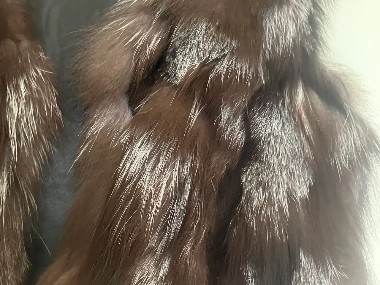 Billede 4 - Kanin vest 