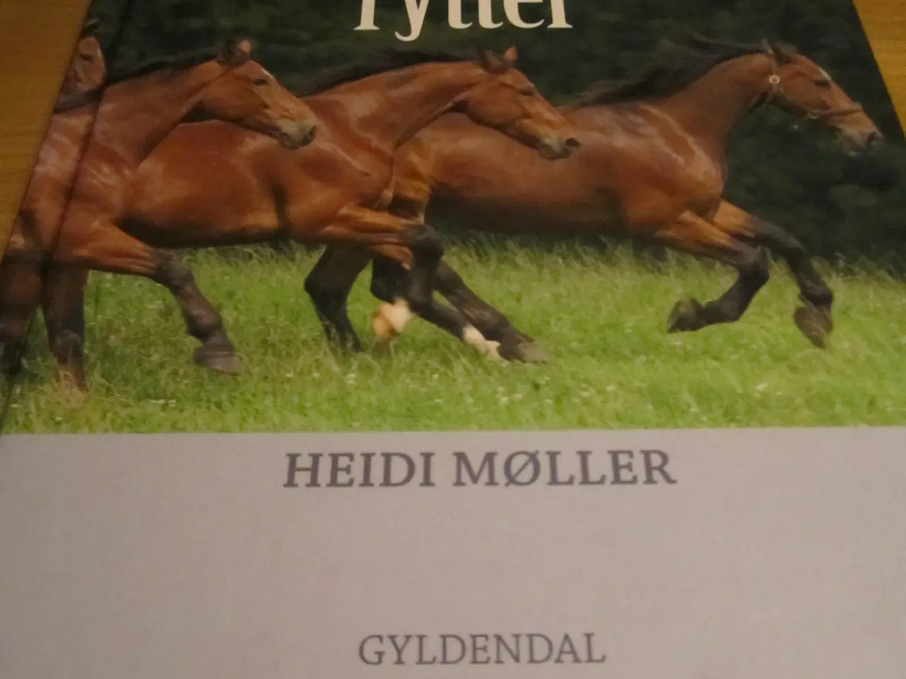 Billede 2 - Heidi Møller. DEN KOMPETENTE RYTTER.