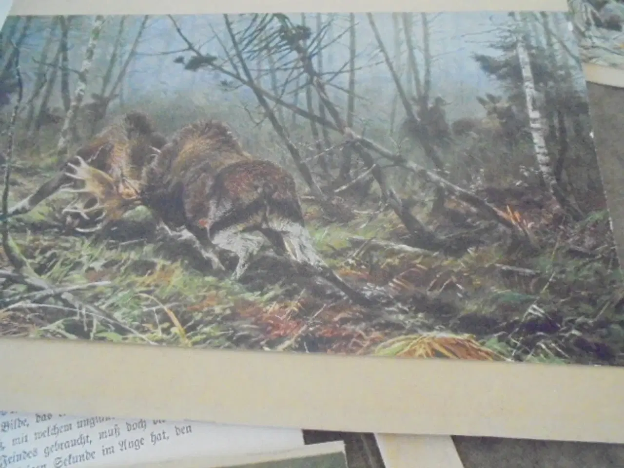 Billede 10 - E.A. Seemanns Künstlermappen – 4 stk. Fra ca. 1920