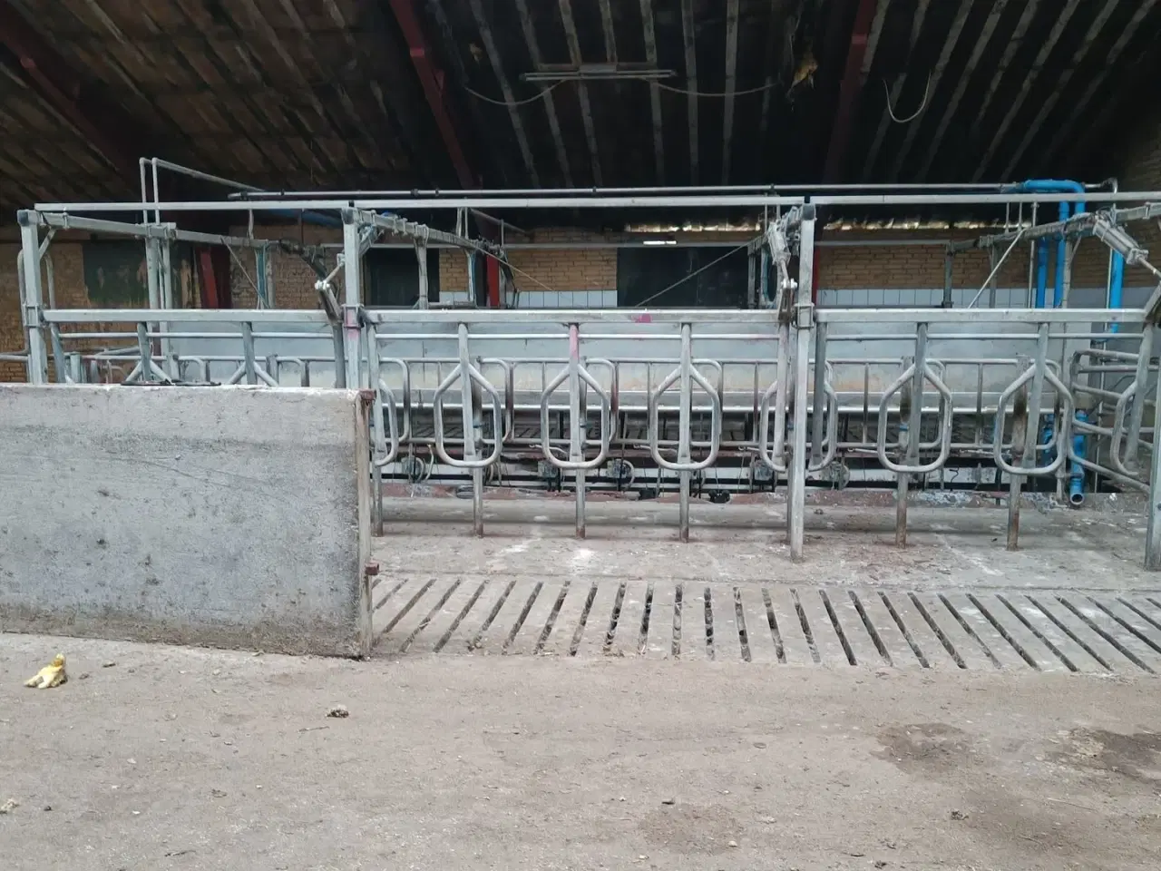 Billede 2 - - - - Malkestalden til 20 stk. med mælkemåler