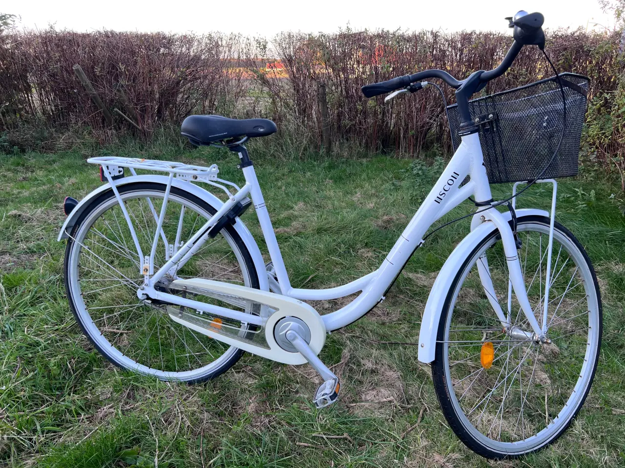 Billede 1 - Flot damecykel sælges