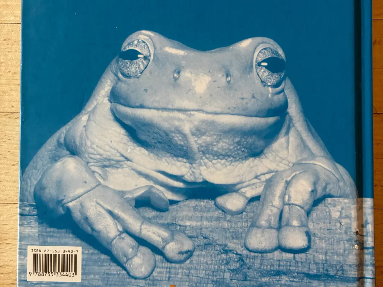 Billede 2 - En dårlig dag - og hvordan du bliver glad igen