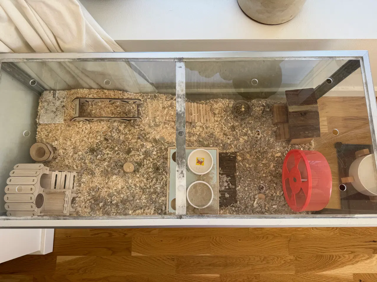 Billede 9 - Dværghamster plus tilbehør sælges