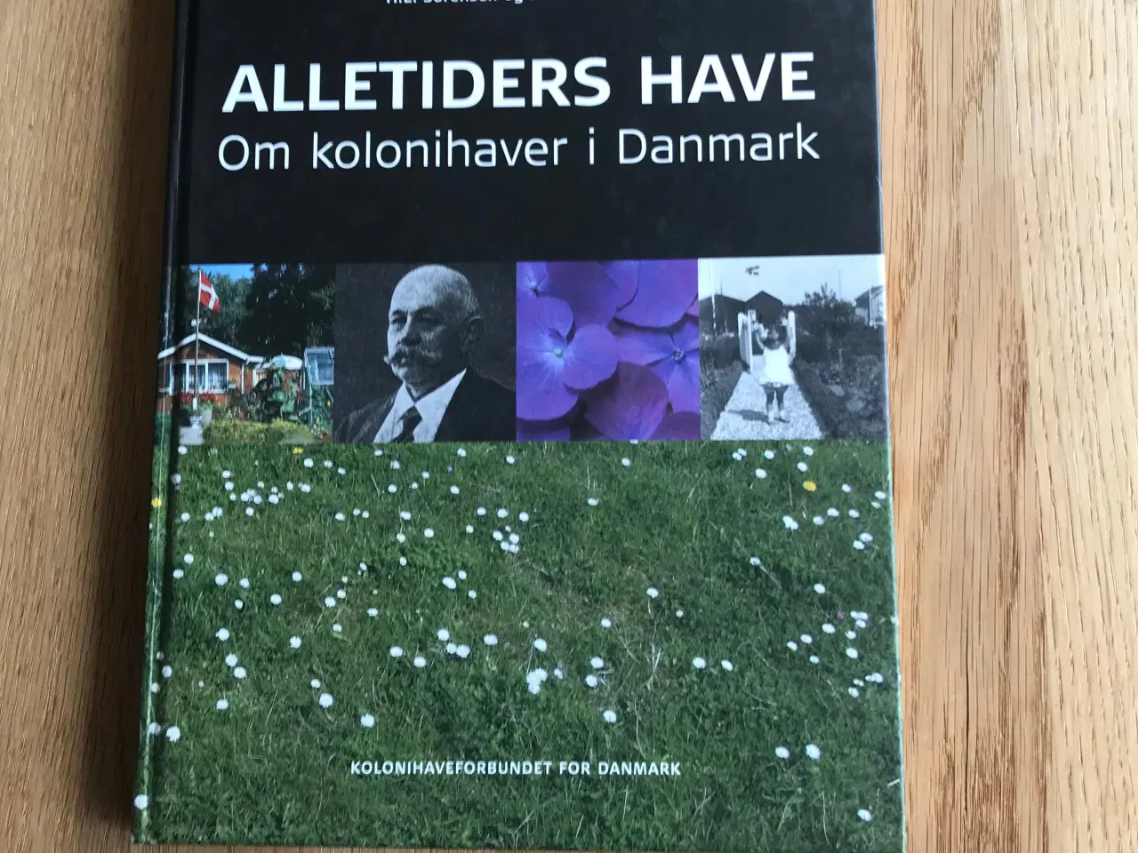 Billede 1 - Alletiders Have  Om kolonihaver i Danmark
