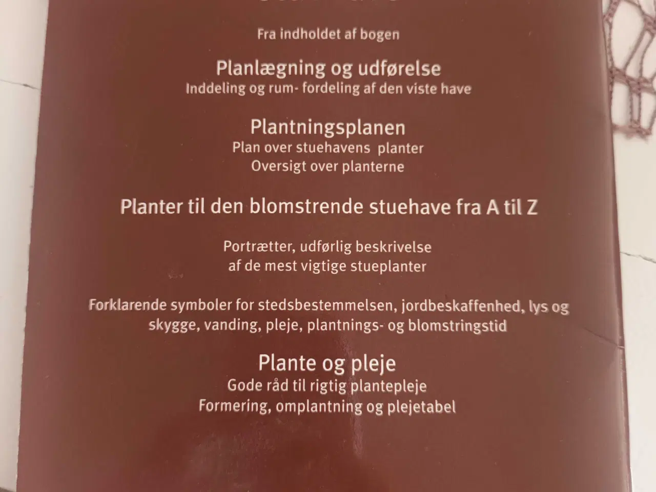 Billede 2 - Haveguiden - Den blomstrende stuehave