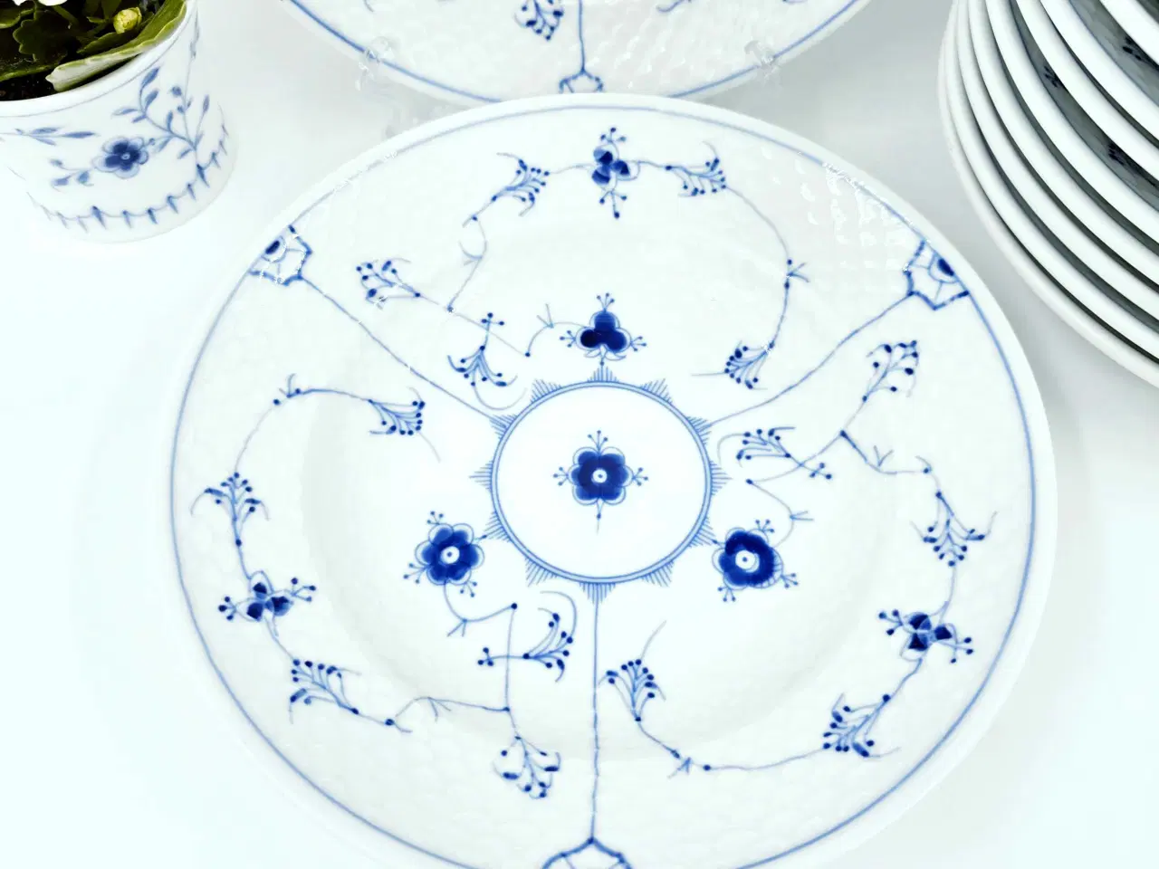 Billede 4 - Musselmalet stor Dyb Hotelporcelæn Tallerken
