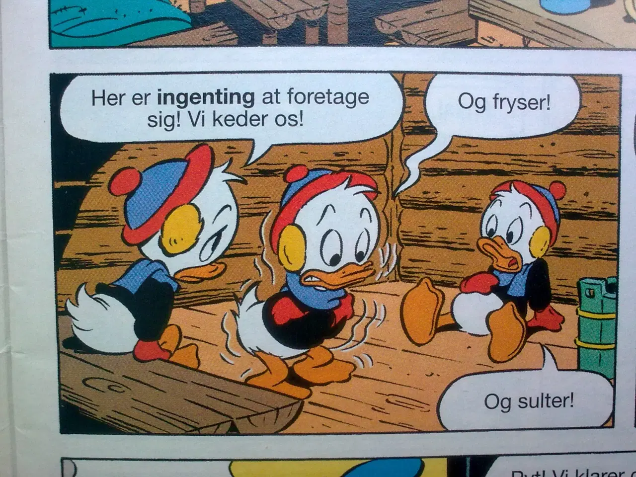 Billede 13 - Kanin uden hat eller hare hop & pip hop hat