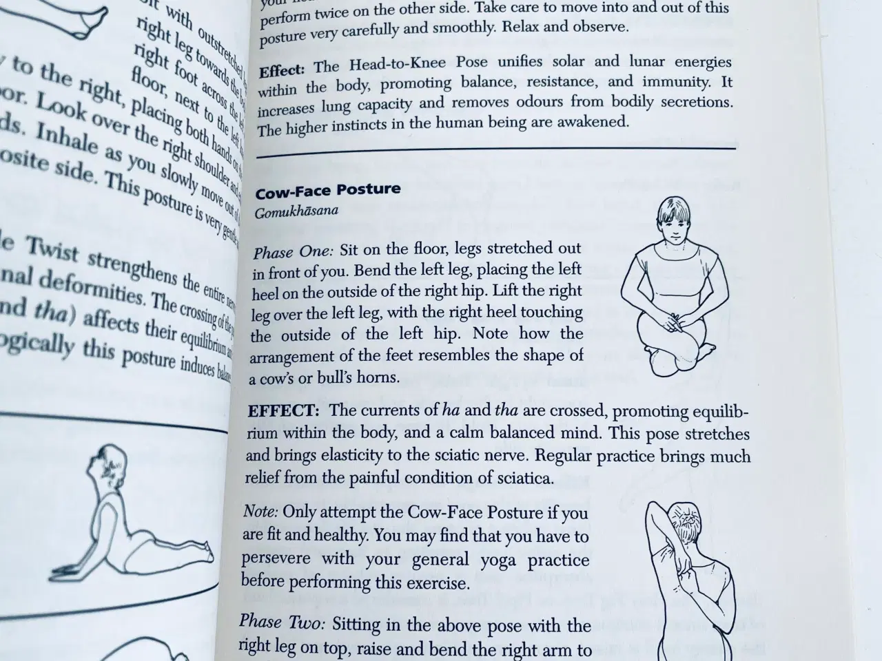 Billede 8 - Yoga a practical introduction 