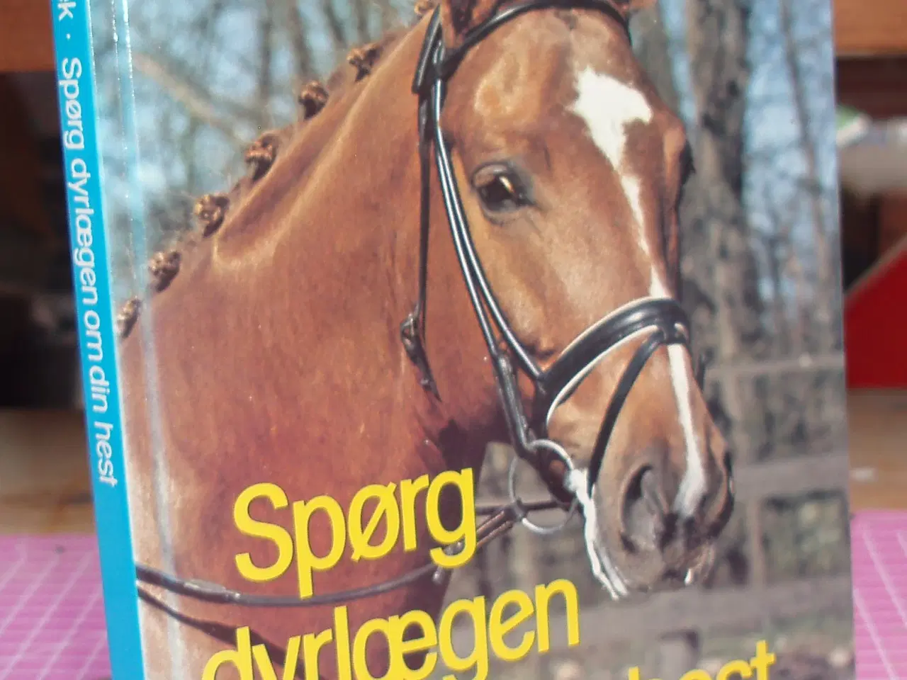 Billede 1 - Spørg Dyrlægen om din hest af Kristine Elbæk