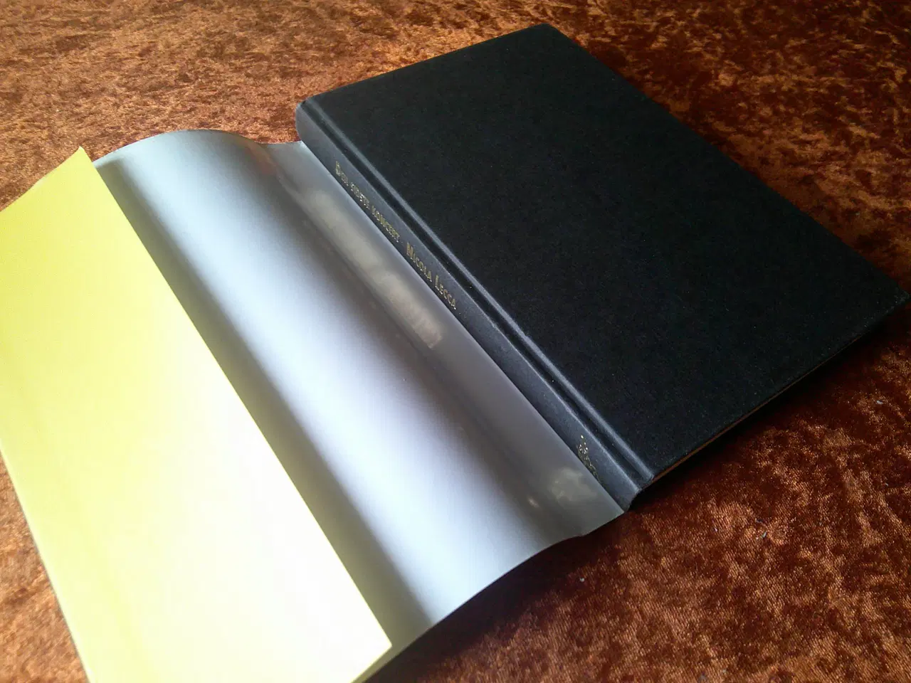 Billede 2 - Den sidste koncert, Nicola Lecca