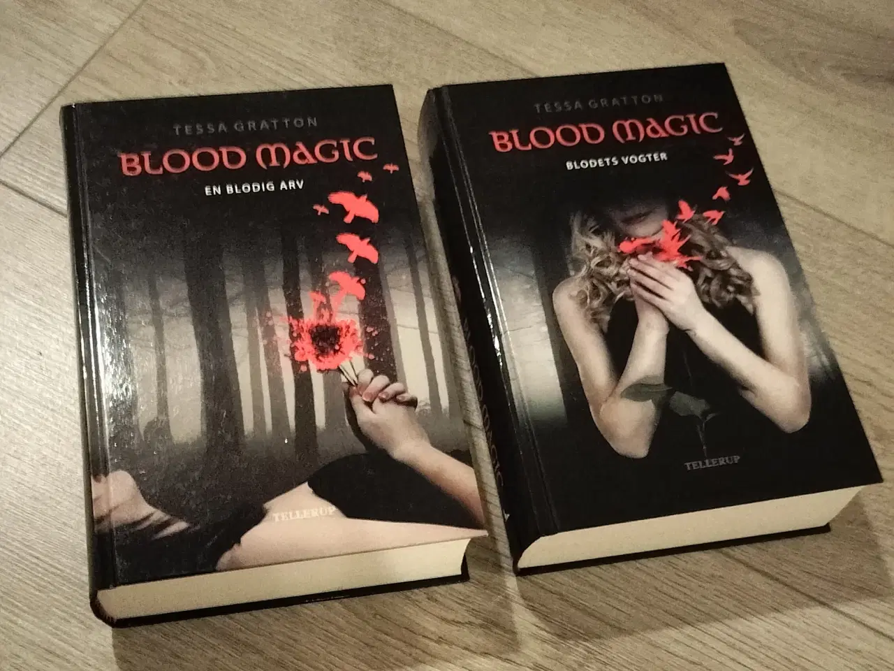 Billede 2 - Blood Magic af Tessa Gratton 