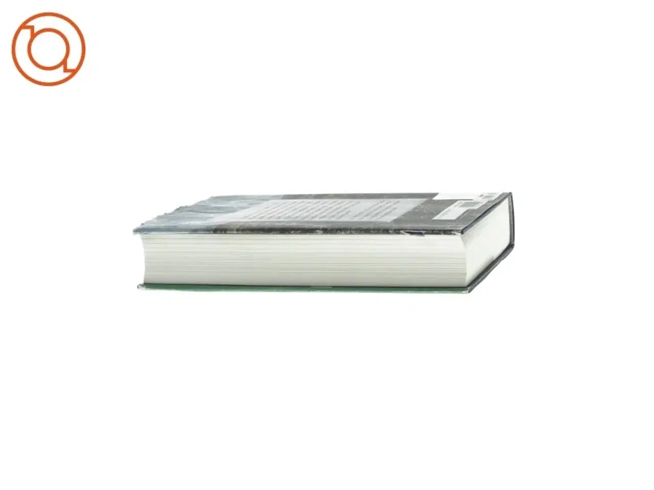 Billede 4 - Leonora Christina Skov - Hvor intet bryder vinden