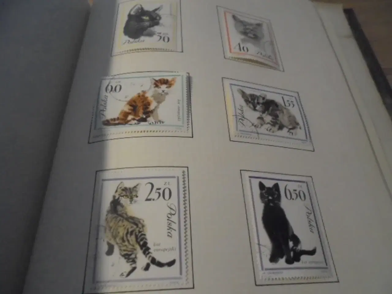 Billede 6 - Gammelt frimærkealbum – Ungarn, Deutsches Reich..