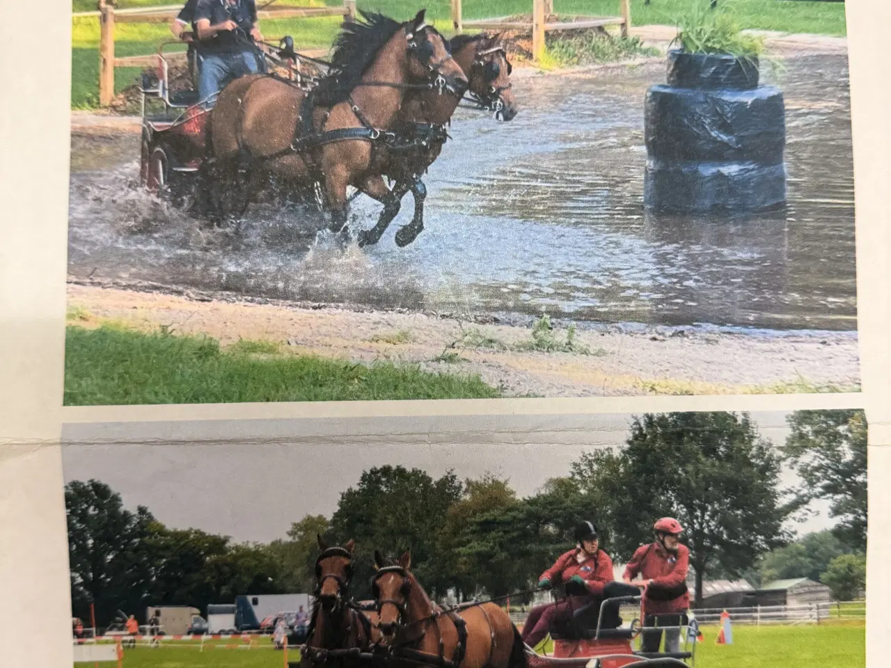 Billede 4 - Sød 1’er pony