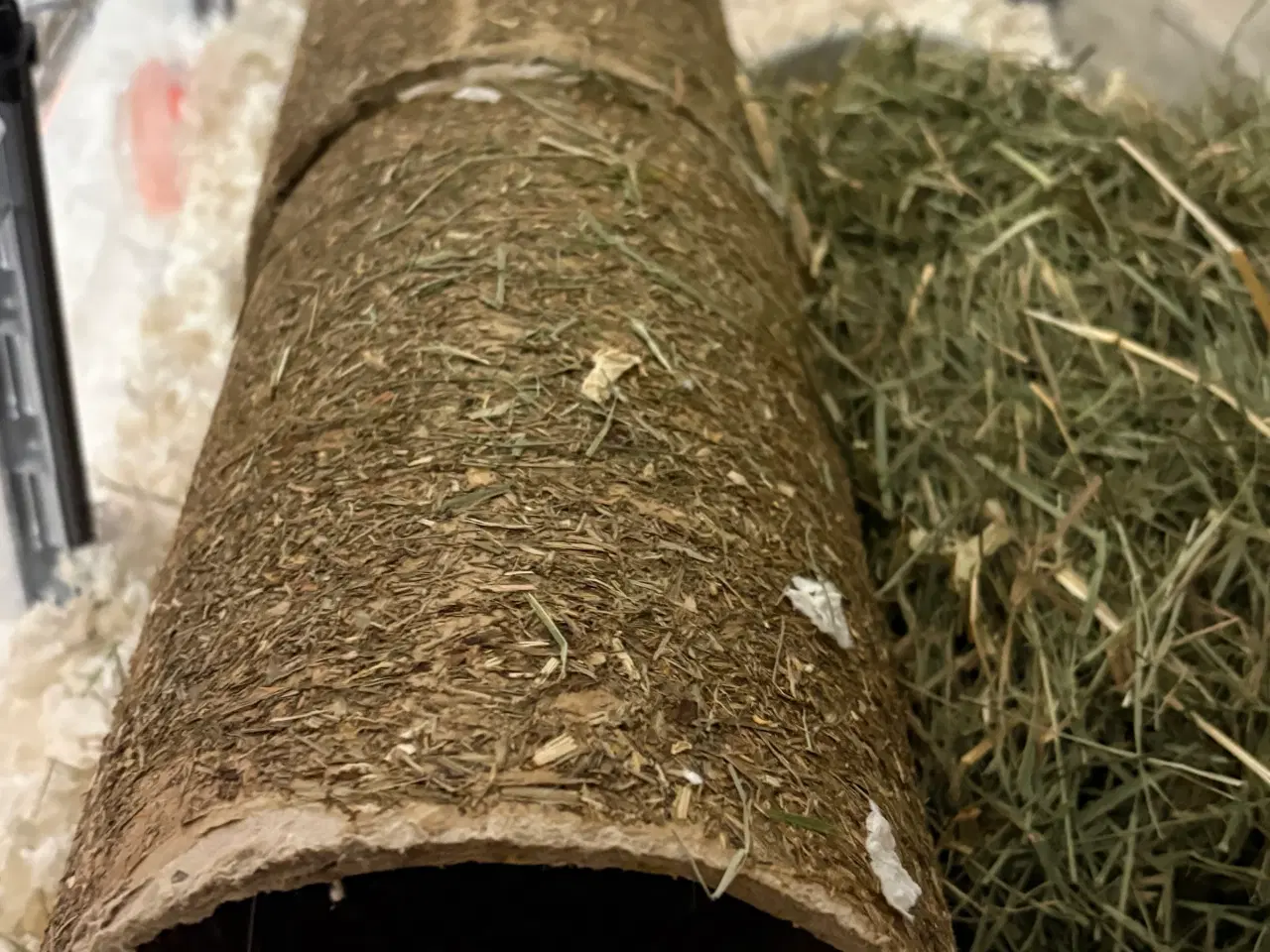 Billede 9 - To Han marsvin og tilbehør 