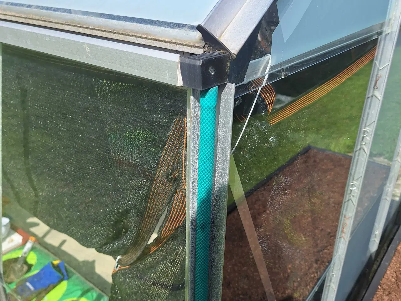 Billede 6 - Drivhus 5m2