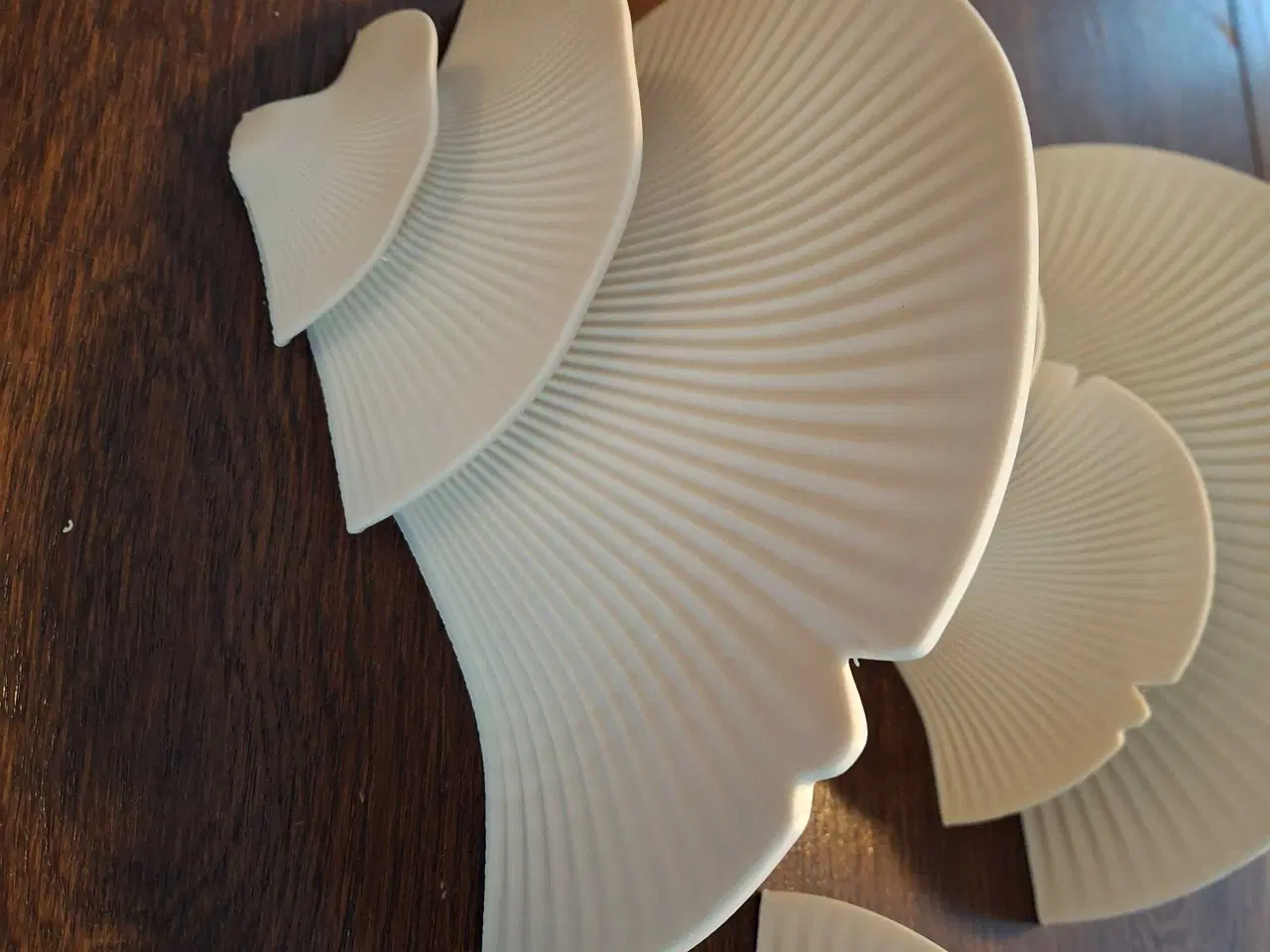 Billede 4 - Svampe hylder 