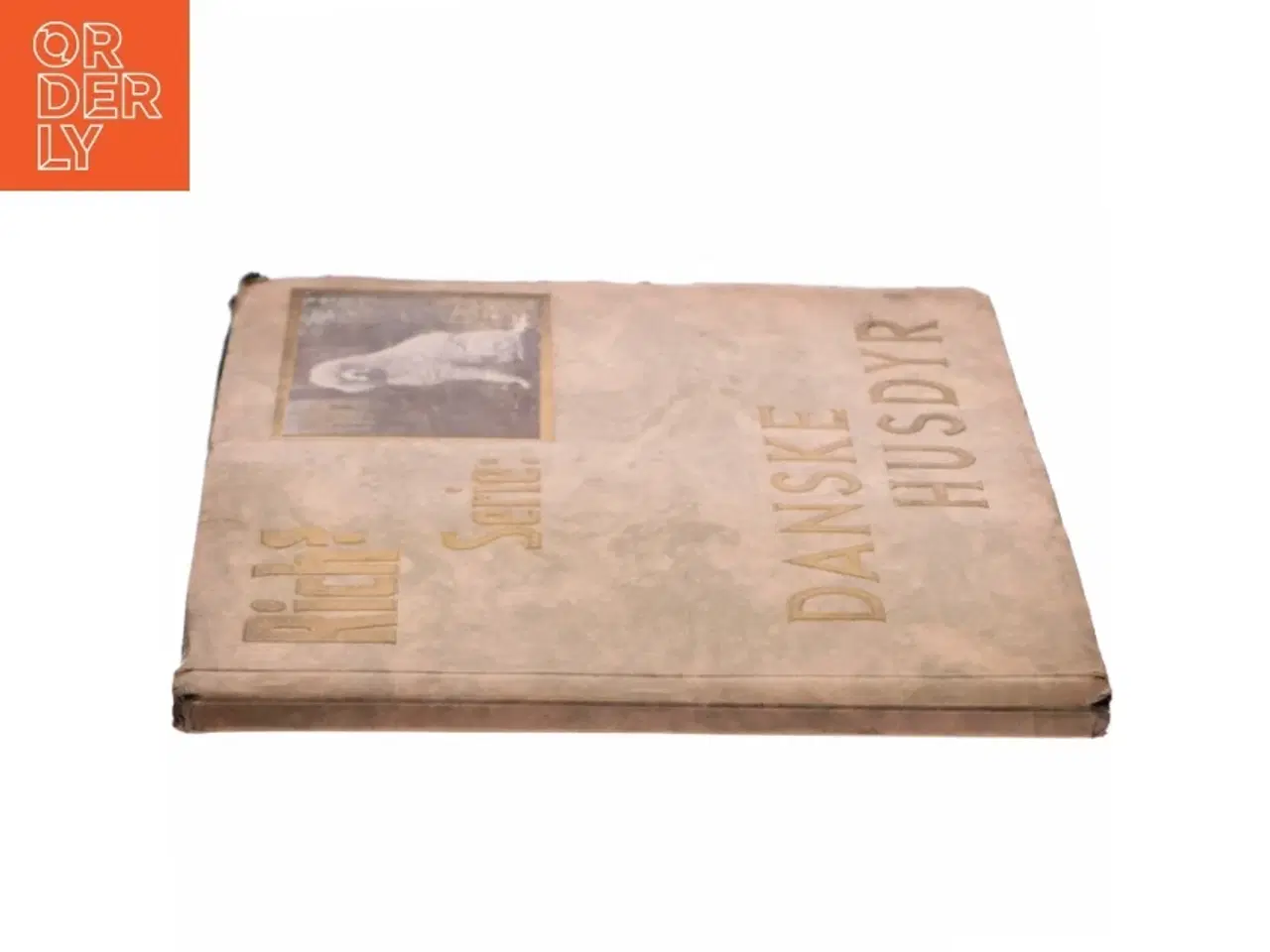 Billede 2 - Richs samlemærker