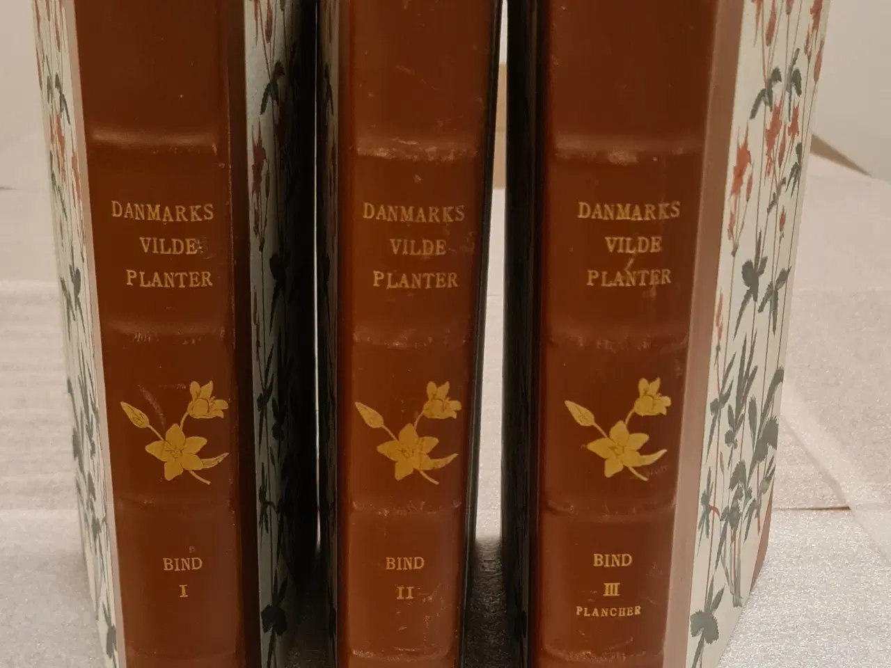 Billede 1 - Danmarks Vilde Planter