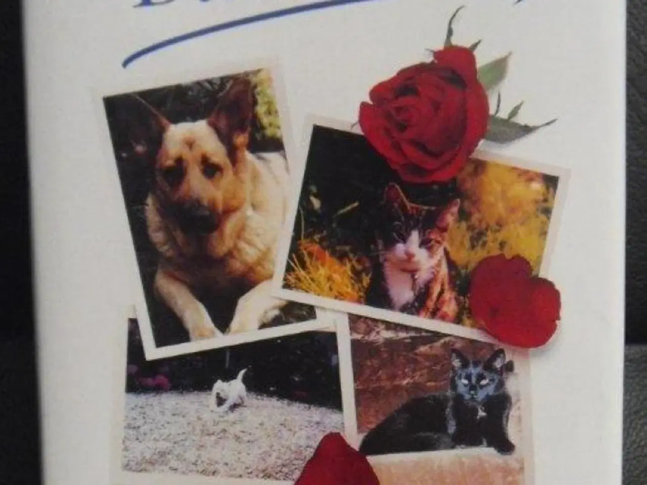 Billede 1 - Goodbye, Dear Friend - Death of a Pet