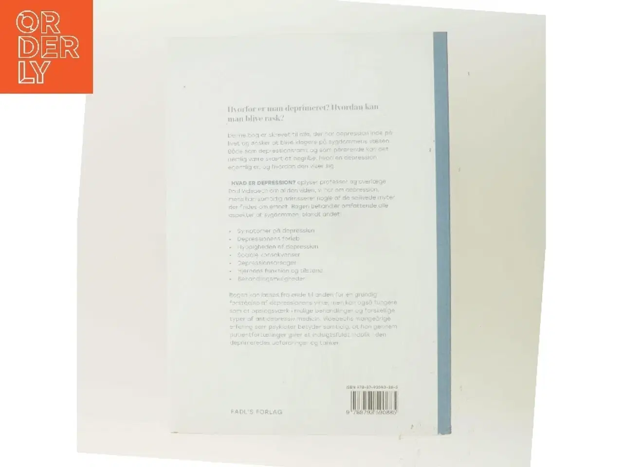 Billede 3 - Hvad er depression? : bliv klogere på årsager, behandling og forebyggelse af Poul Videbech (Bog)