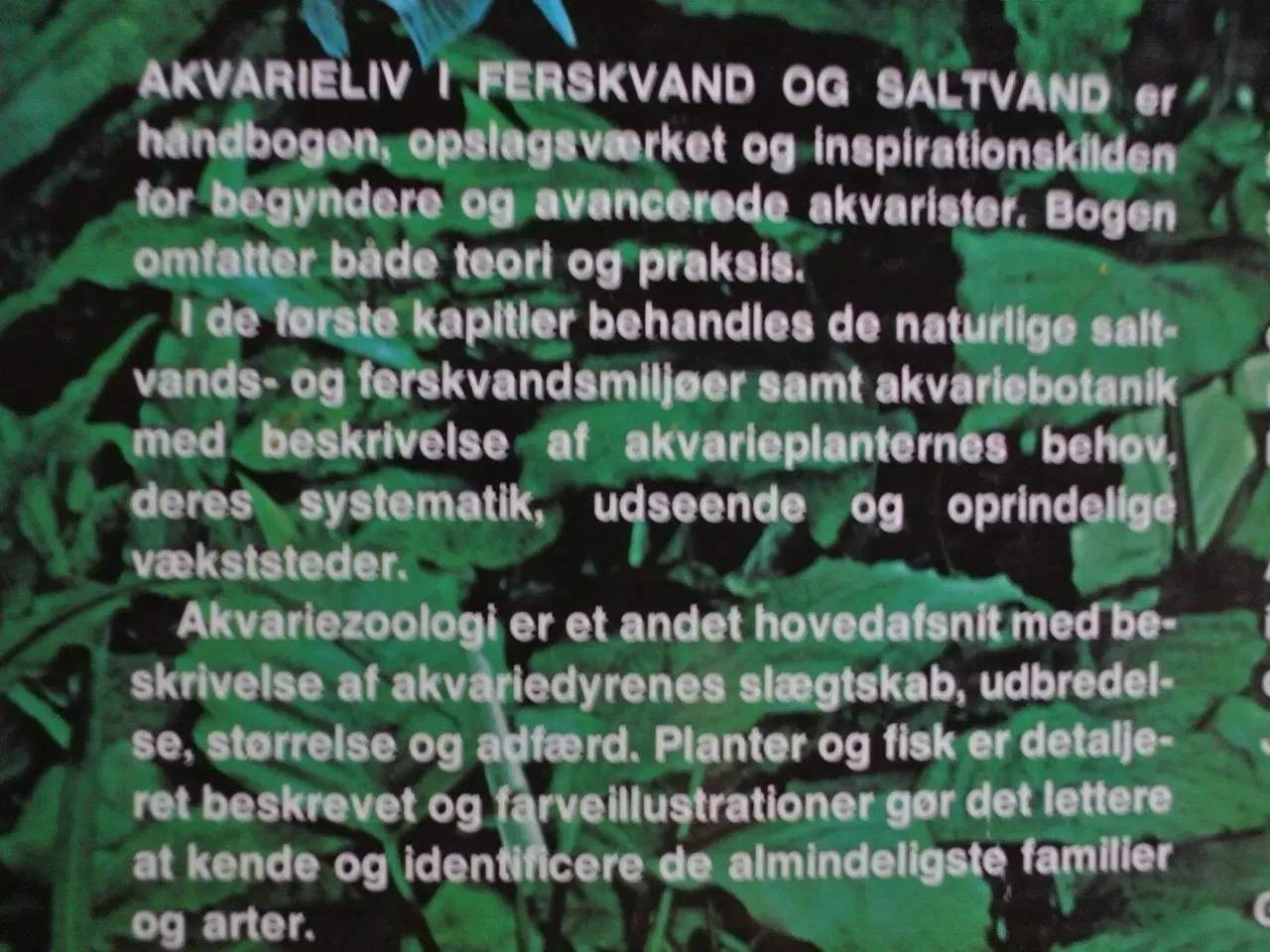 Billede 4 - akvarieliv i ferskvand og saltvand, af peter unnam