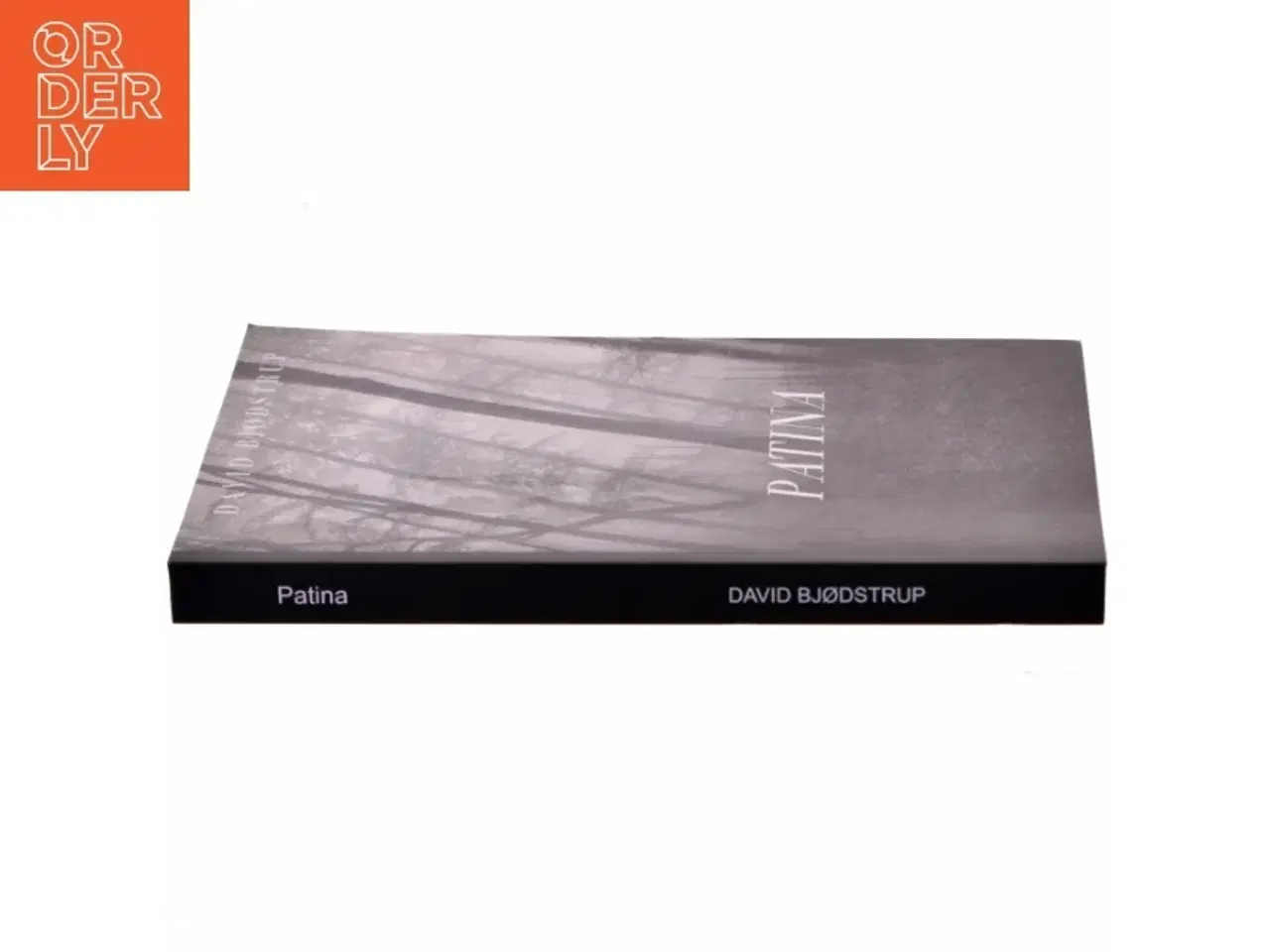 Billede 2 - Patina af David Bjødstrup