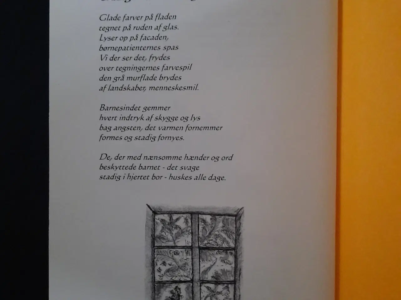 Billede 2 - Stjernedrys / Va vi seje aa va vi gøe, Kathrine Je